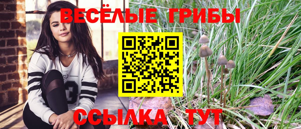 Псилоцибиновые грибы прущие грибы  Вход с VPN  купить наркотик  Рязань 